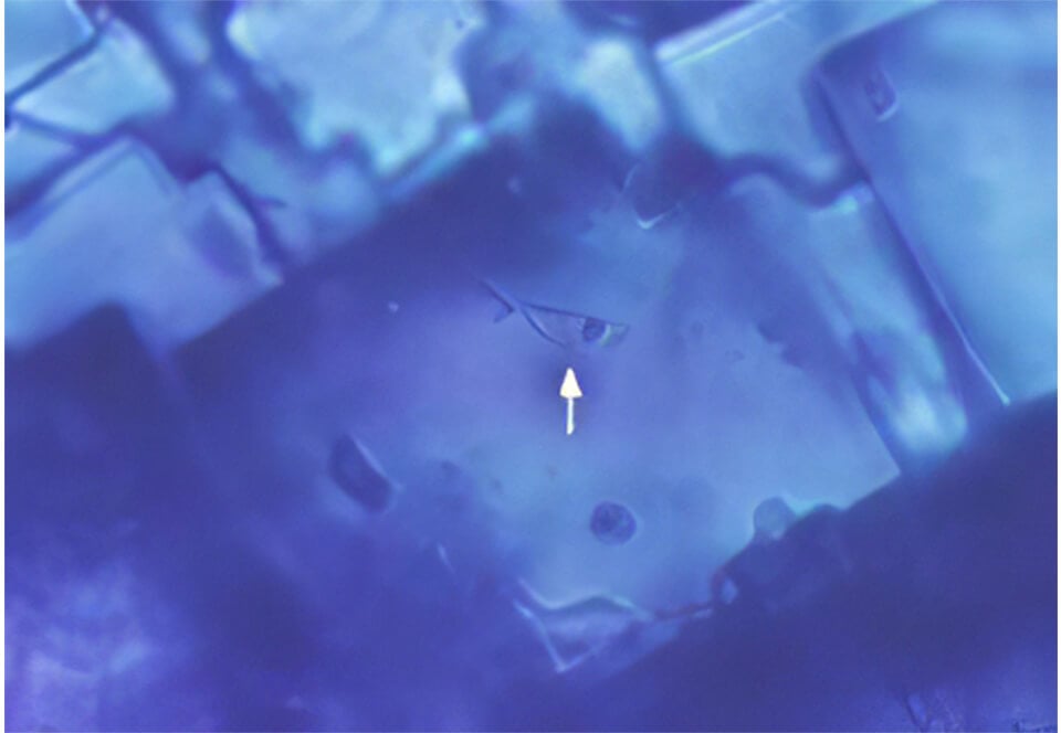 15-микронная капля воды (стрелка) попала внутрь кристалла соли в метеорите Monahans
