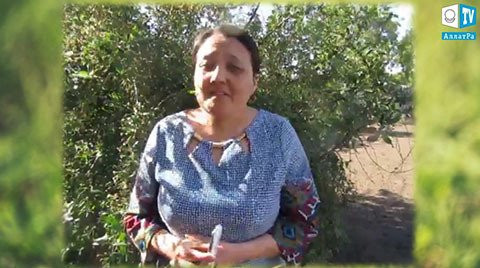 Айна, Казахстан: "МОД «АЛЛАТРА» — это светлые люди, которые вдохновляют своим примером на добро."