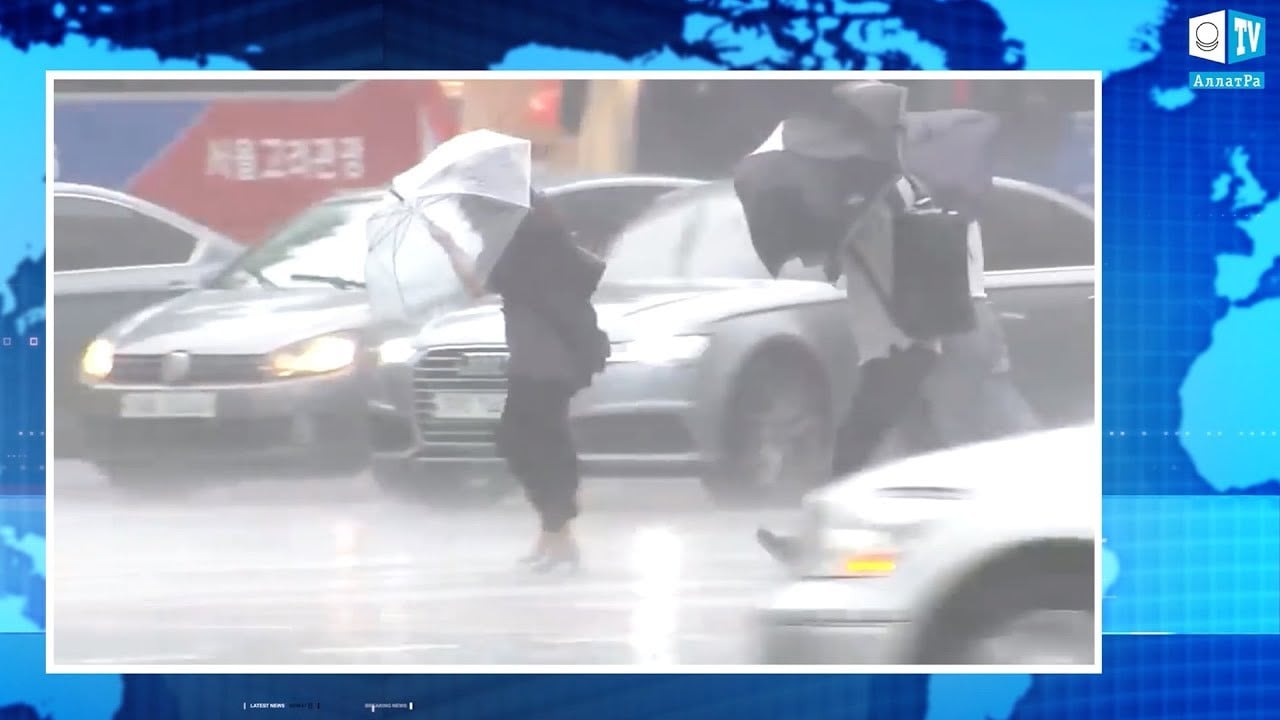 Тайфун «Линлин» в Южной Корее, катастрофические последствия стихии