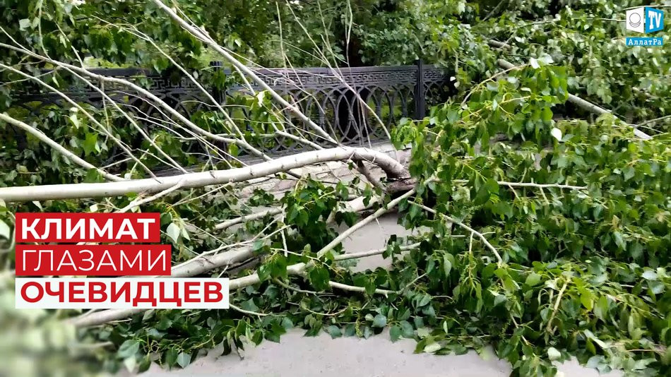 Ураган в Екатеринбурге (РФ): 25 мая, 2020