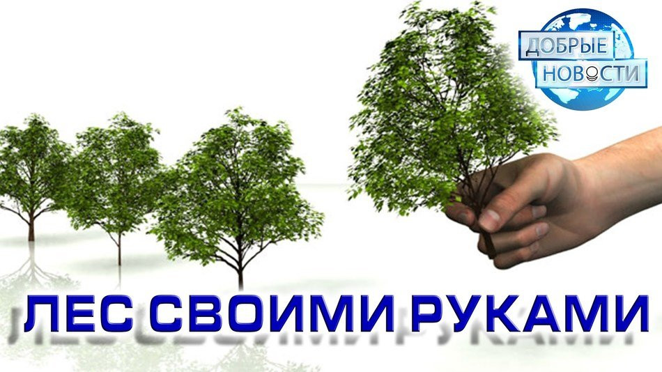 Лес своими руками (Свердловская обл., Россия)