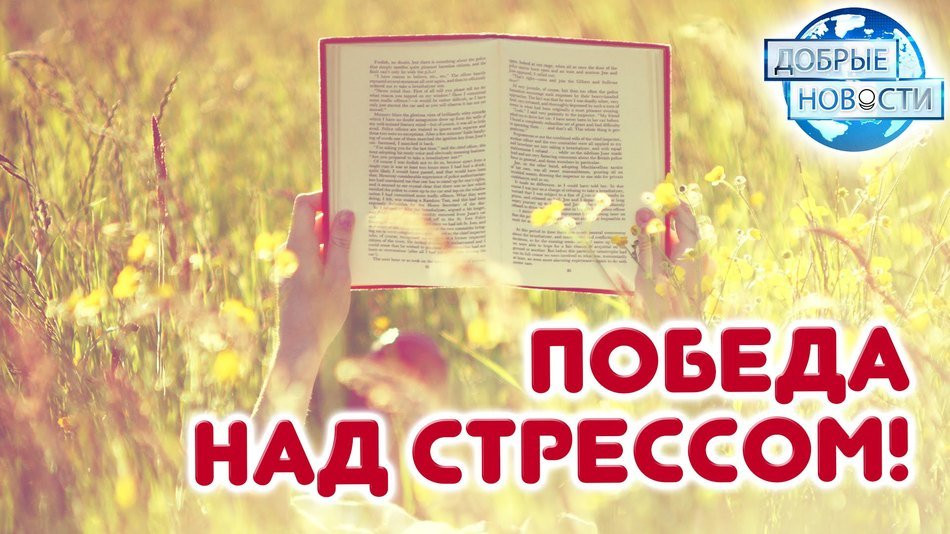 Чтение – лучшее средство от стресса!