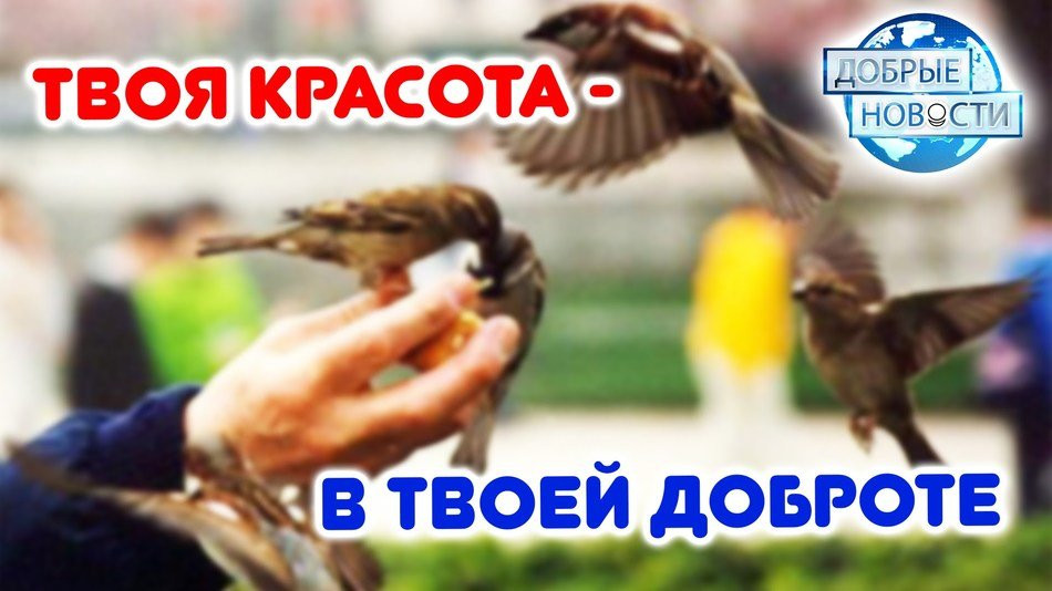 Твоя красота – в твоей Доброте. Мораль, нравственность, добро