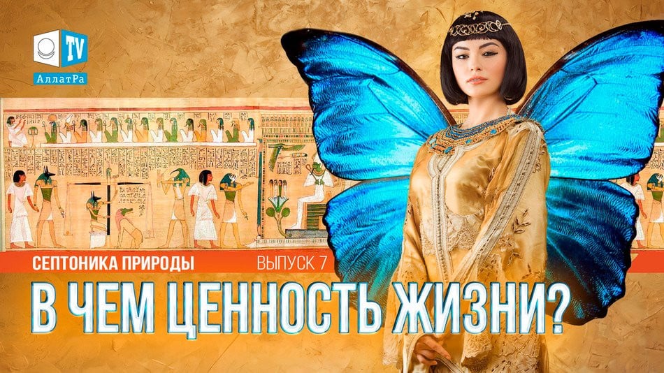 «В чём ценность жизни?» Септоника природы. Выпуск 7