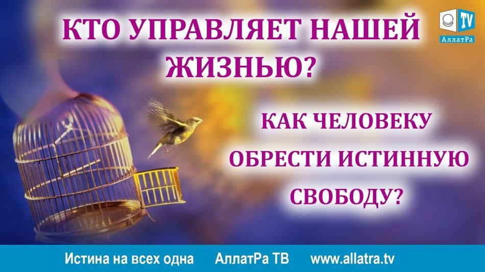 Кто управляет нашей жизнью? Из передачи Истина на всех одна
