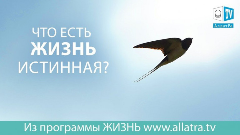 Что есть Жизнь истинная?