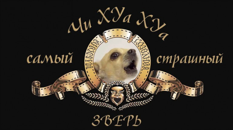 Самый страшный зверь – Чихуахуа