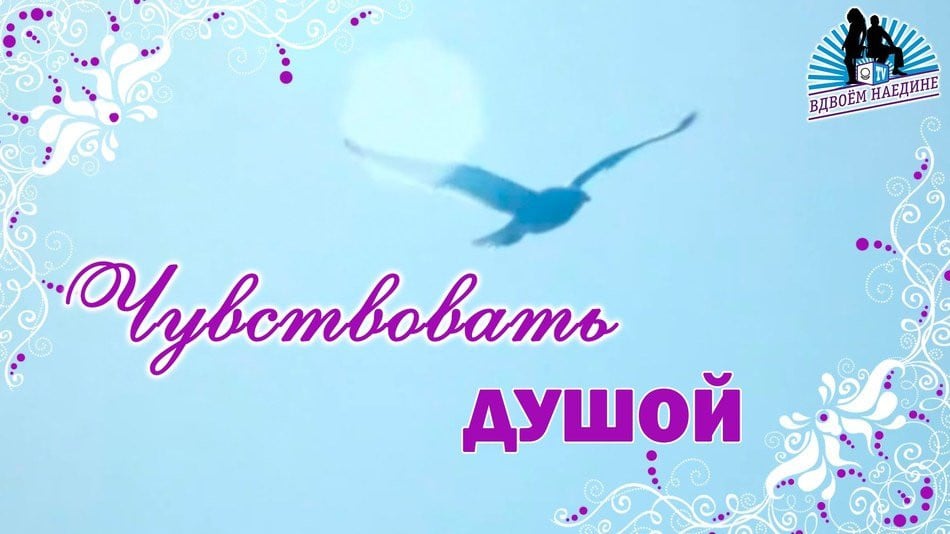 Чувствовать душой. Из 7-го выпуска программы "Вдвоём наедине"