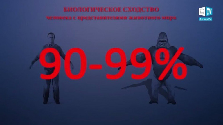 Чем человек отличается от животного?