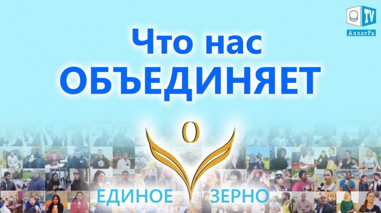 Что нас объединяет? Любовь. Фильм ЕДИНОЕ ЗЕРНО. Серия 7