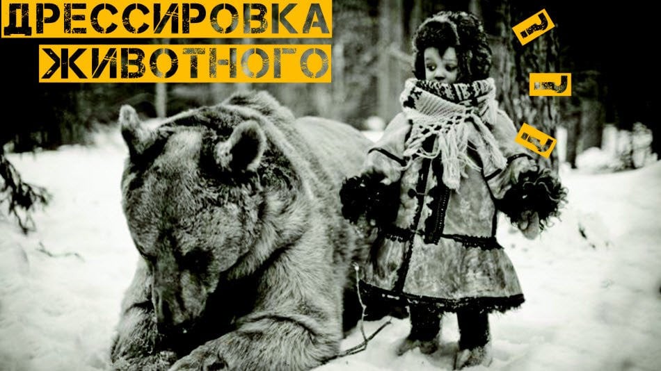 Дрессировка животного начала или как посадить сознание на цепь