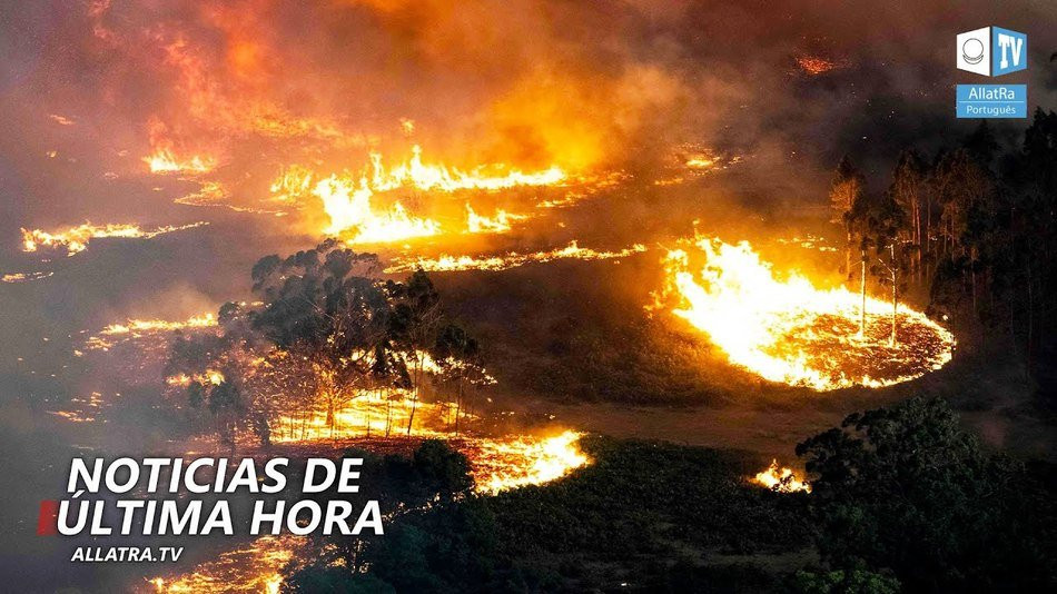 Incêndios na Austrália destroem tudo à sua volta. Como é que podemos ajudar? | Clima ALLATRA