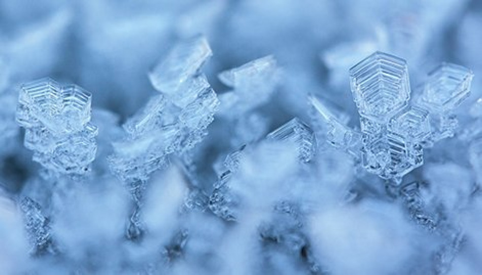 Ancient oriental parable about the true nature from the book Birds and Stone