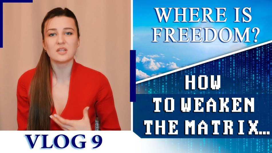 Where is Freedom? How to weaken the system of the animal mind. Vlog 9 | My Way to Life | ALLATRA