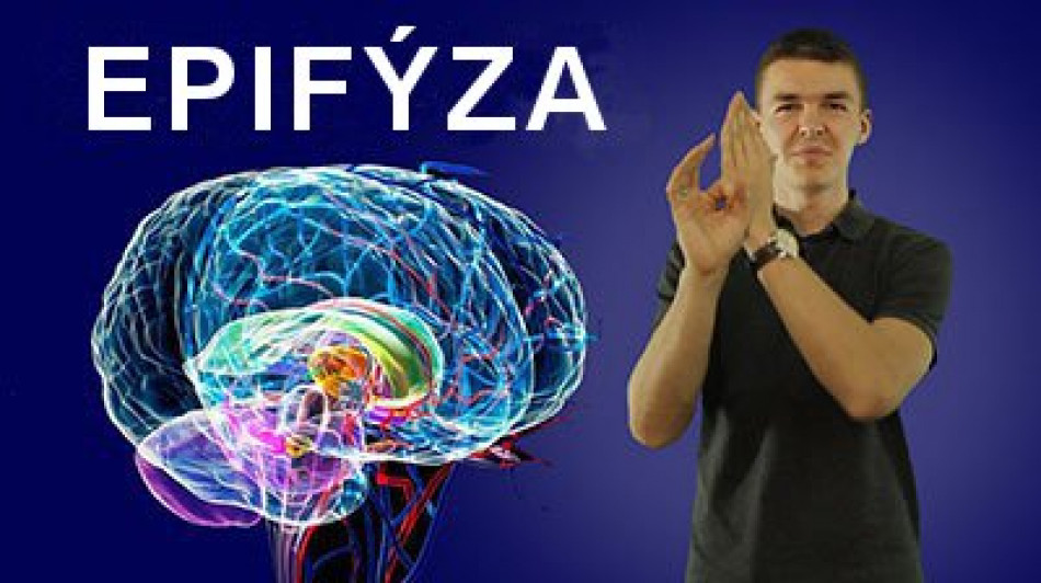 Epifýza. Prečo je taká dôležitá pre človeka. Poznanie. Vydanie 1 (Slovenské titulky)
