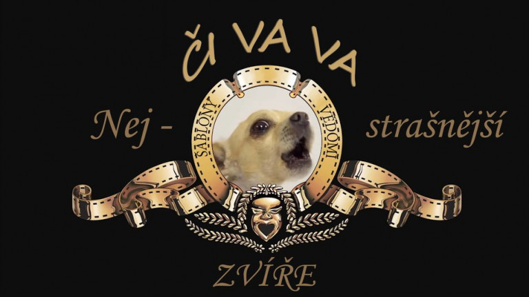 Nejstrašnější zvíře - ČIVAVA