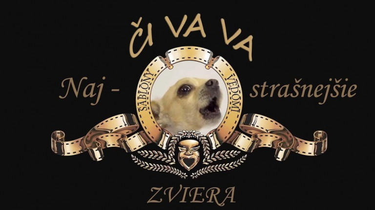 Najstrašnejšie zviera - ČIVAVA.