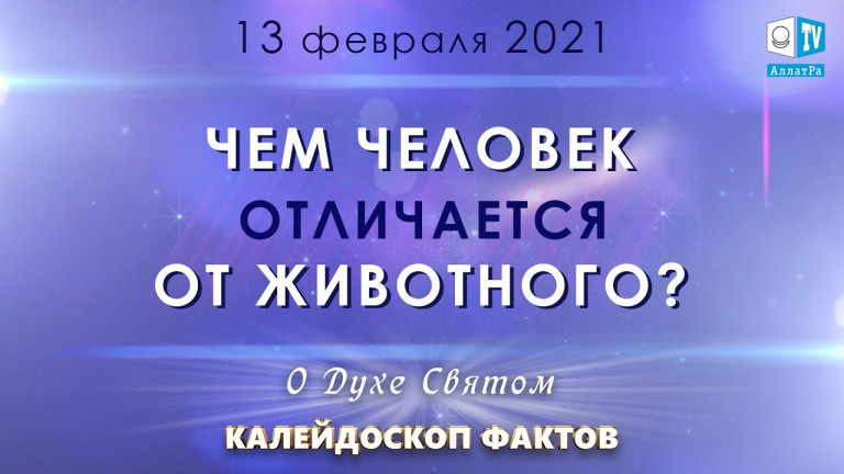 Чем человек отличается от животного?