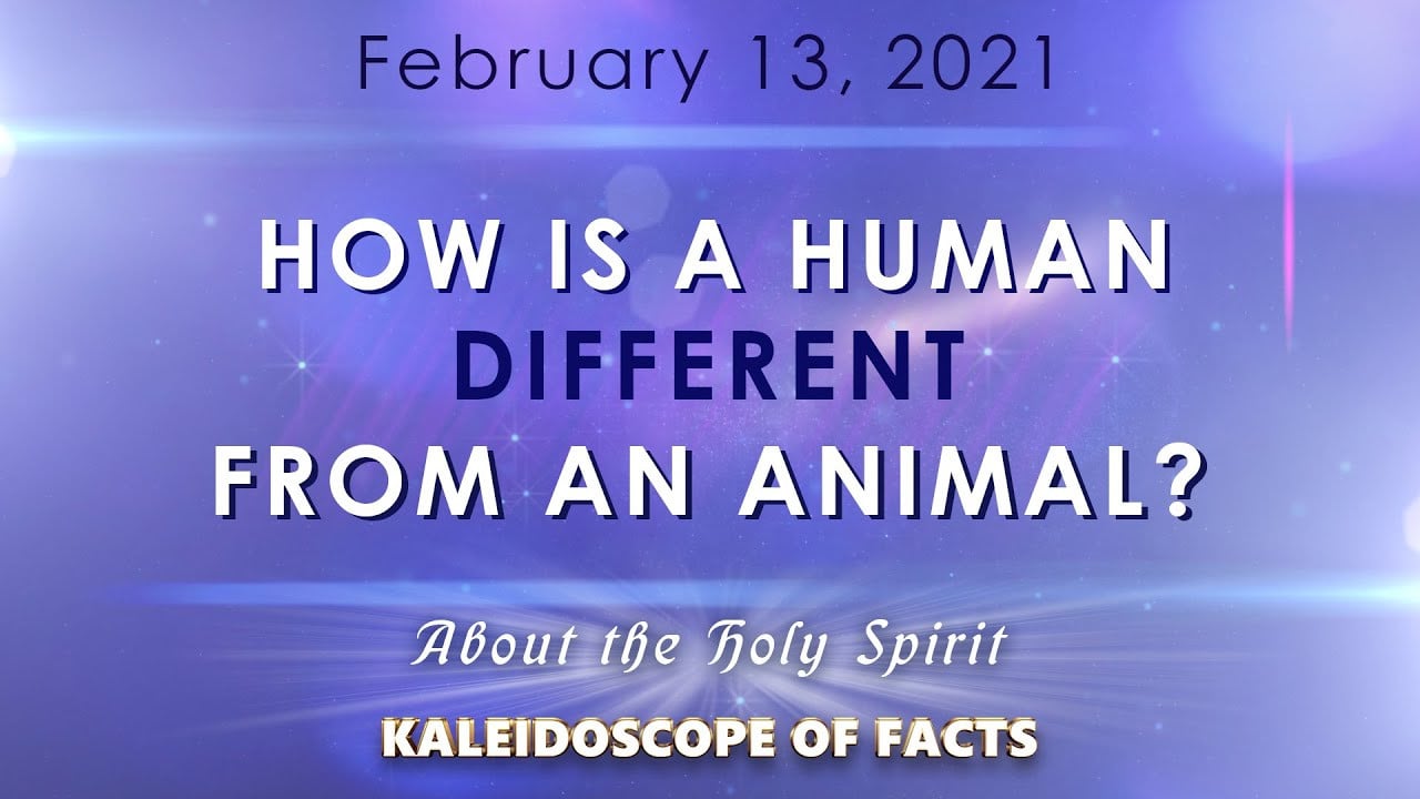 How is a human different from an animal?