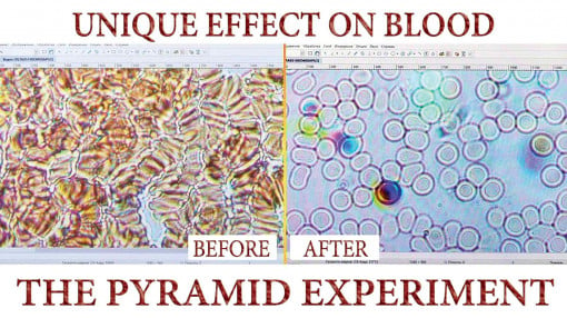 Unique Effect on Blood. The PYRAMID Experiment