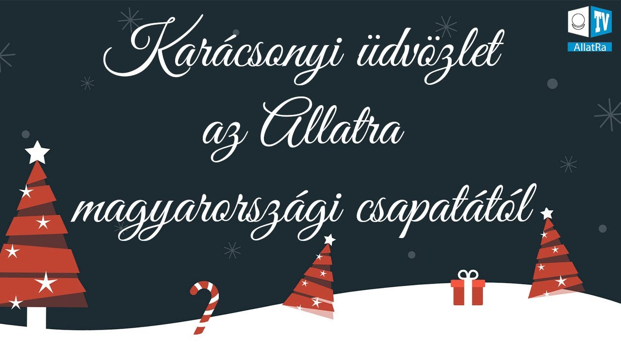 Karácsonyi üdvözlet az Allatra magyarországi csapatától