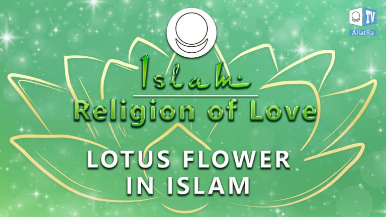 Lotus Flower in Islam. Islam: Religion of Love