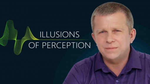 Illusions of Perception