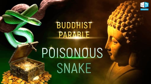 A Poisonous Snake. A Buddhist Parable