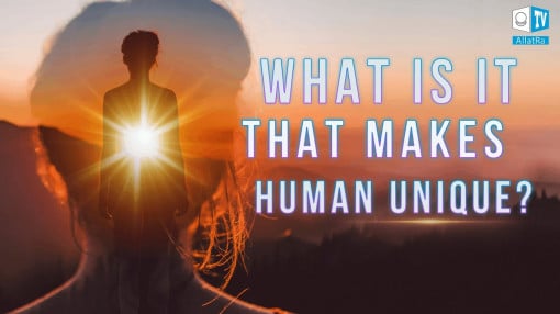 What Is It That Makes Human Unique?