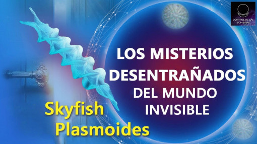 Los misterios desentrañados del mundo invisible. Skyfish. Plasmoides. | Control de las sombras Latam
