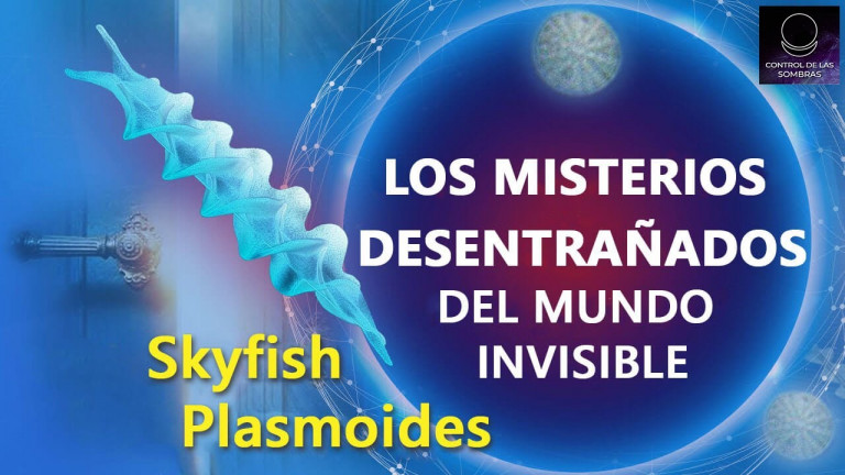Los misterios desentrañados del mundo invisible. Skyfish. Plasmoides. | Control de las sombras Latam