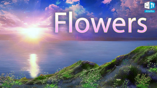 Flowers | Song