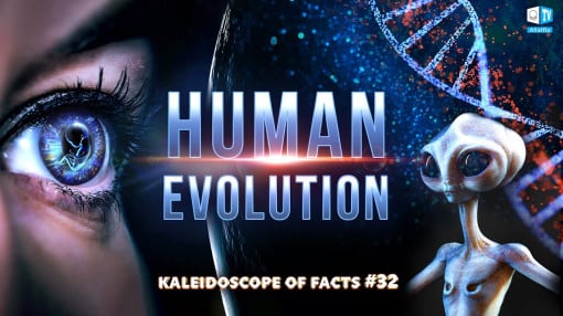 Human Evolution | Kaleidoscope of Facts 32