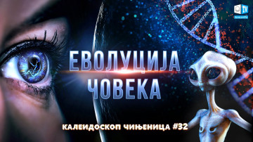 Еволуција човека | Калеидоскоп чињеница 32