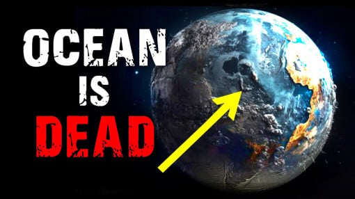 Scientists: Humanity Has Killed the Ocean! What Will the Consequences Be?
