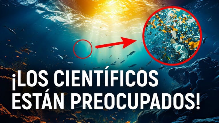 El océano perdió por primera vez su función principal. ¿Cuál es la amenaza?