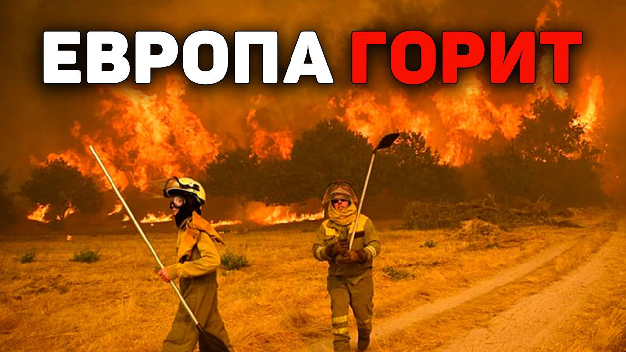 Как мы привыкаем к климатическим катастрофам? Эффект сдвига базовой линии