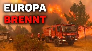 Wie wir uns an Klimakatastrophen gewöhnen: das Shifting-Baseline-Syndrom