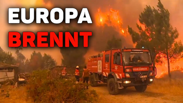 Wie wir uns an Klimakatastrophen gewöhnen: das Shifting-Baseline-Syndrom