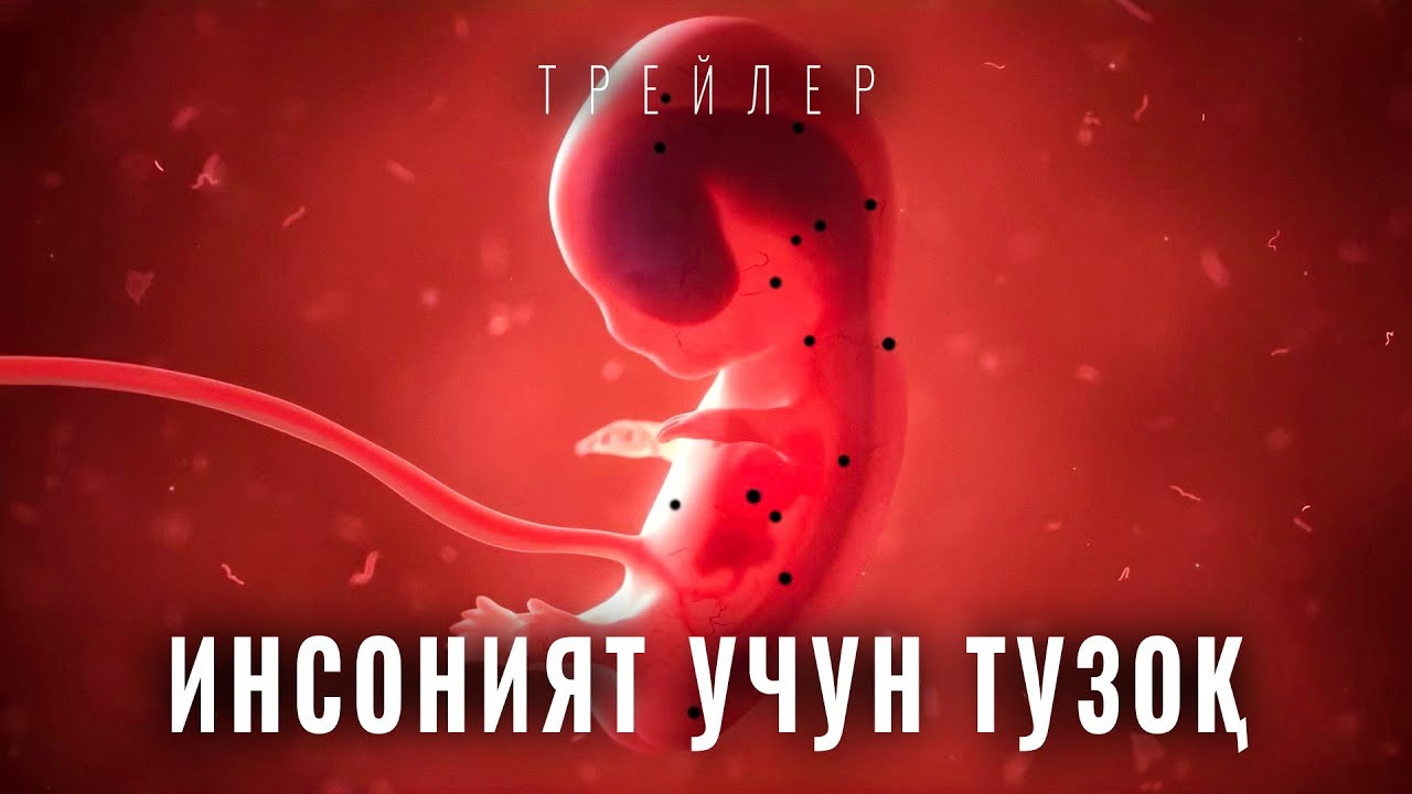 Заҳарланган борлиқ