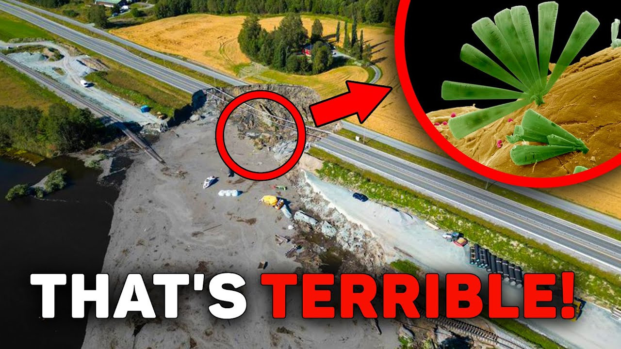 The Hidden Connection Between Disasters: What Is Science Missing?