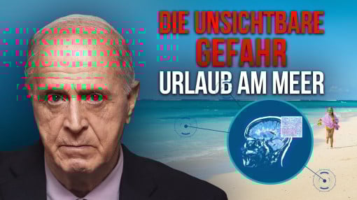Mikroplastik in Luft und Wasser: Wie es in das Gehirn gelangt