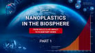 Nanoplastics: Invisible Threat That Already Affects Everyone | Excerpt #1 from a Scientific Report