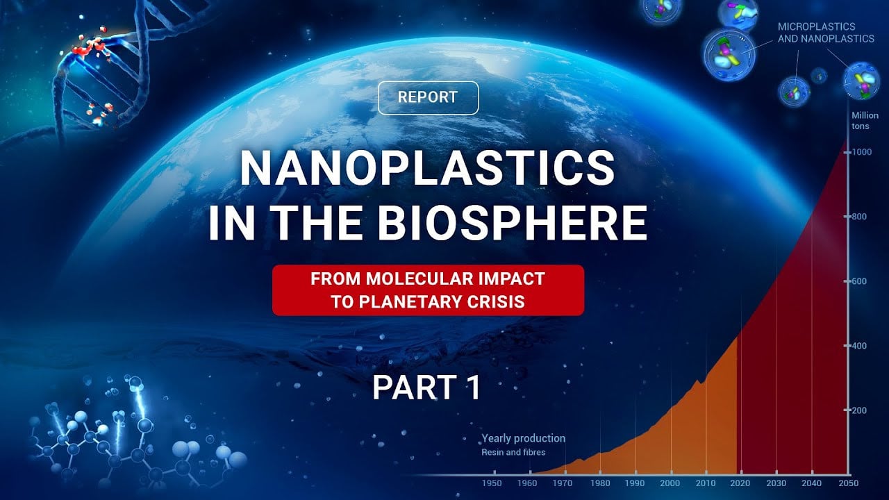 Nanoplastics: Invisible Threat That Already Affects Everyone | Excerpt #1 from a Scientific Report