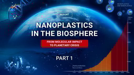 Nanoplastics: Invisible Threat That Already Affects Everyone | Excerpt #1 from a Scientific Report