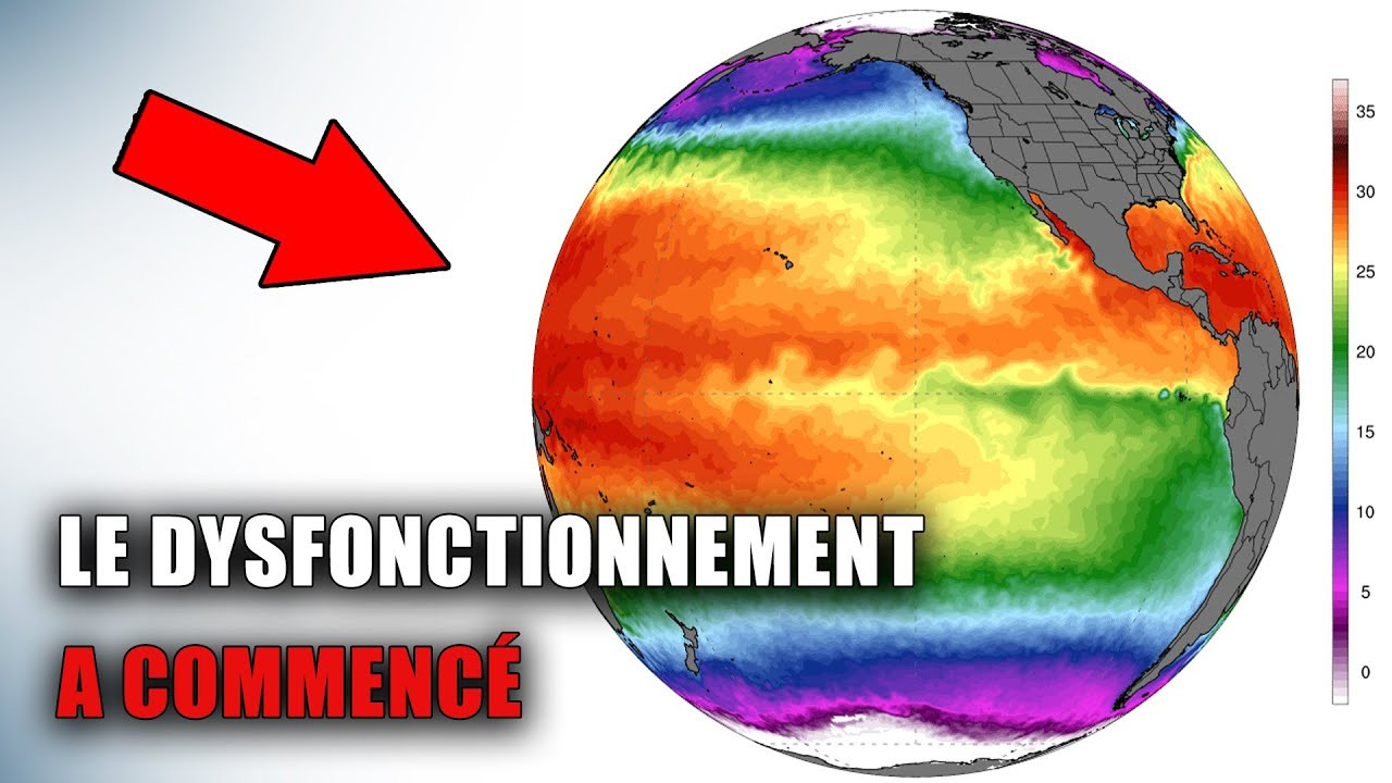 Anomalies que ne devraient pas exister. Que se passe-t-il avec l'océan ?