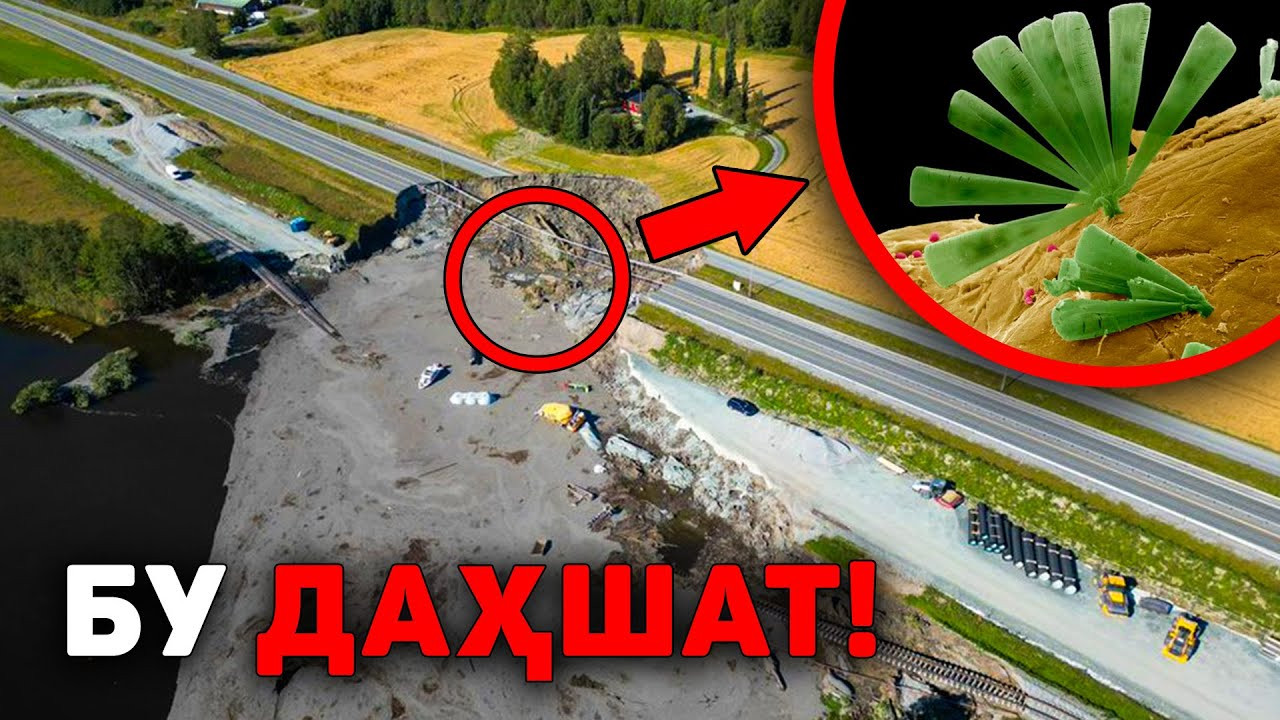 Табиий офатларнинг яширин алоқаси: илм-фан нимани эътибордан четда қолдиряпти?