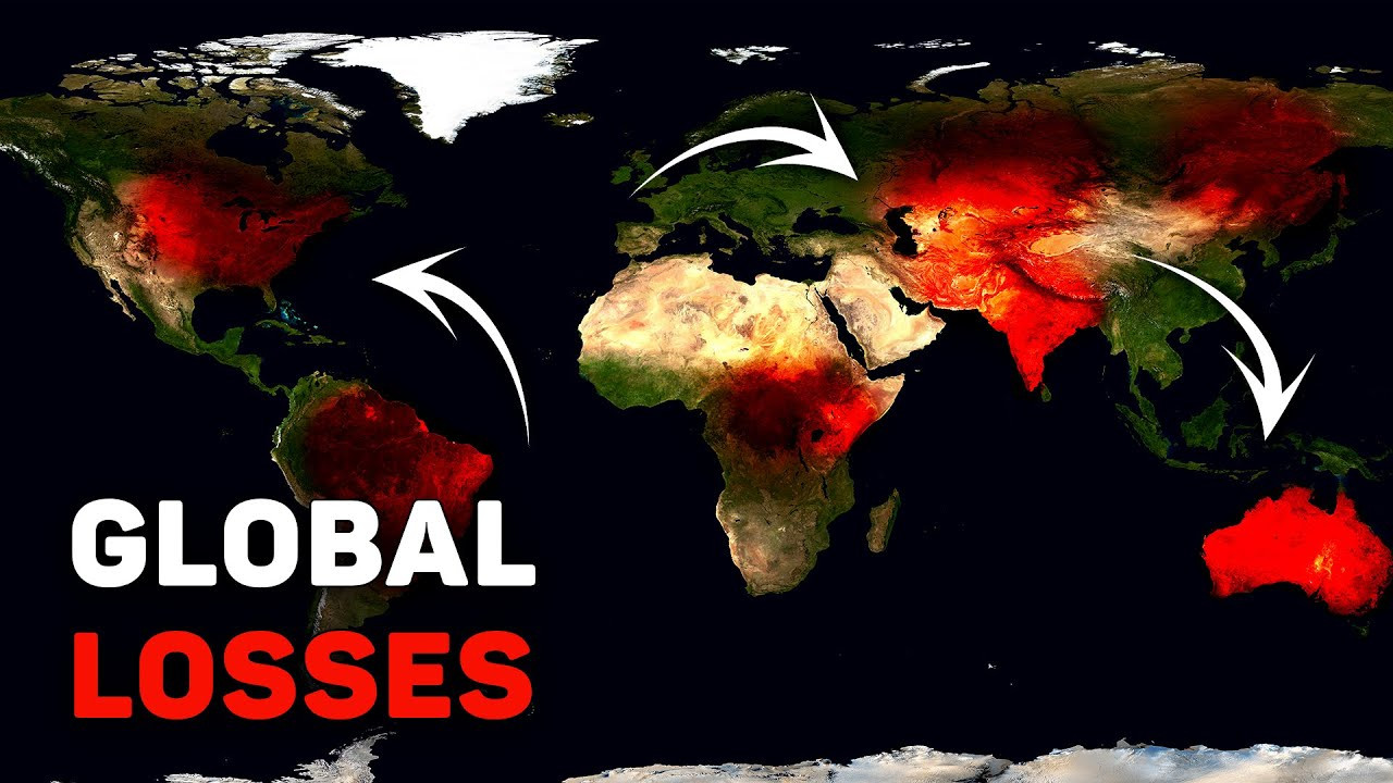 You Definitely Saw This in Your Feed! Disasters That Shook 6 Continents in 7 Days