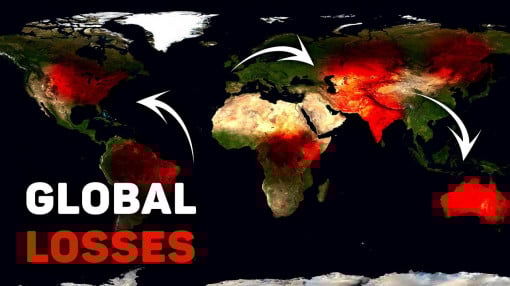 You Definitely Saw This in Your Feed! Disasters That Shook 6 Continents in 7 Days