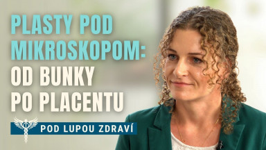 Plasty pod mikroskopom: od bunky po placentu